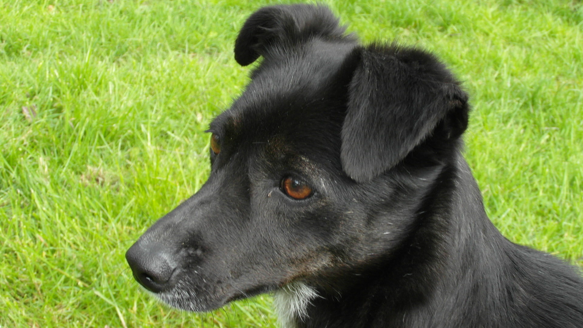 Coco8.JPG (1920 x 1080)